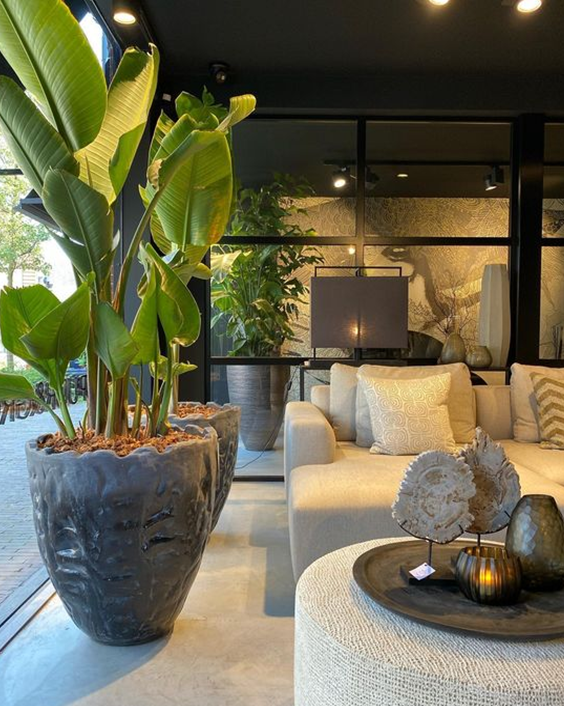 Design interior spaces